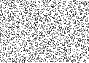 Des tas d’oiseaux (taille modeste) – 2