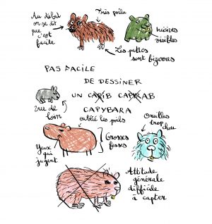 Pas facile de dessiner un capybara