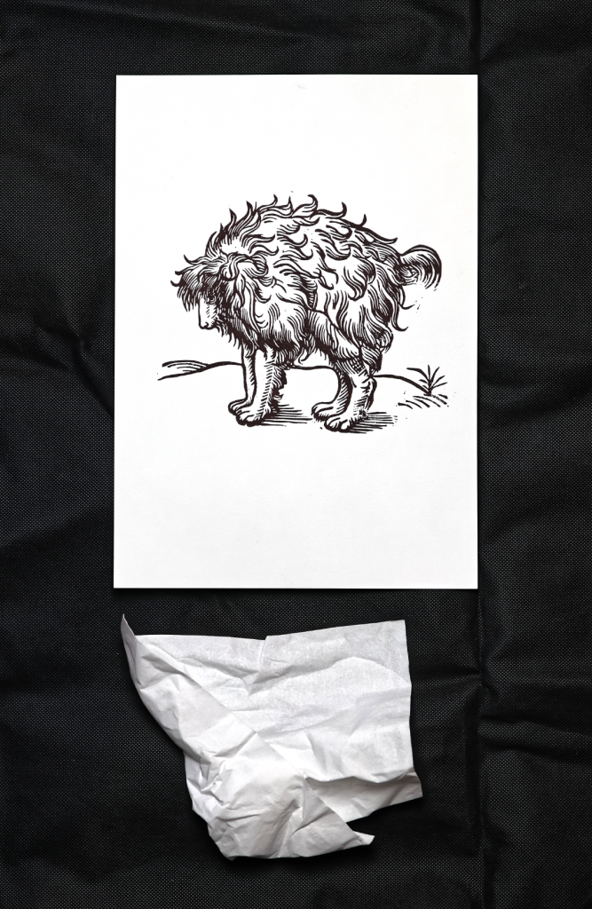 Chien