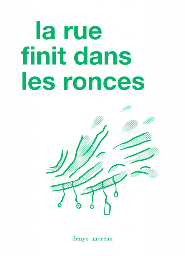 la rue finit dans les ronces