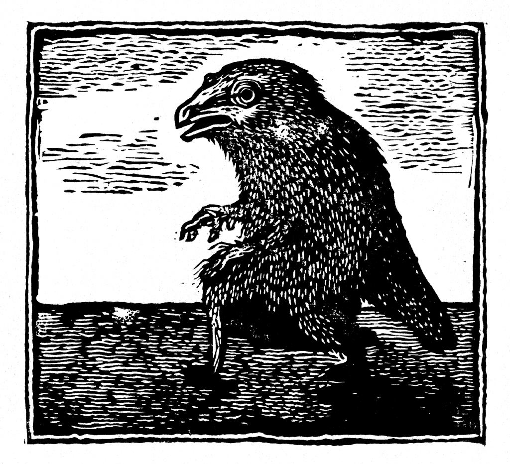 "Tous les oiseaux n'ont pas de nid"