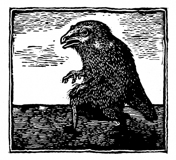 "Tous les oiseaux n'ont pas de nid"