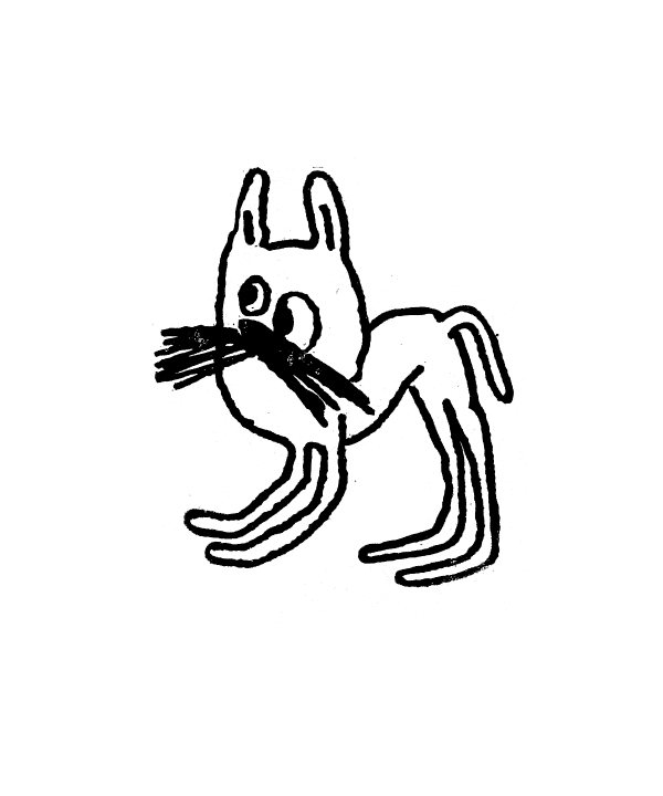 Chat - point d'interrogation